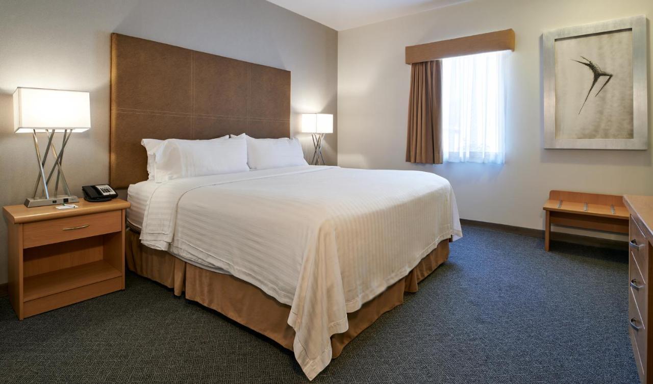 Holiday Inn Hotel & Suites Chihuahua By Ihg Exterior photo